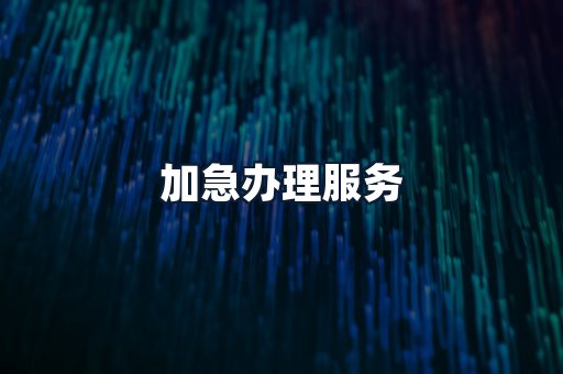 加急办理服务