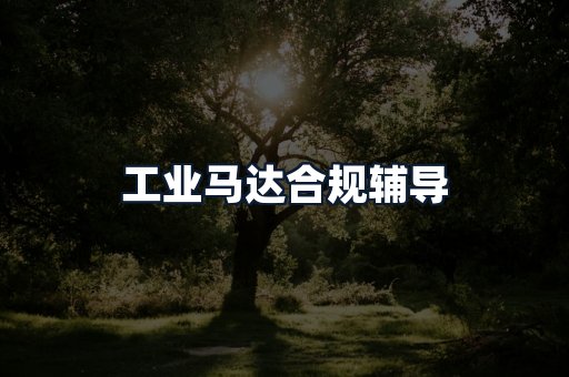 工业马达合规辅导