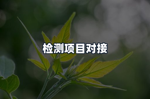检测项目对接